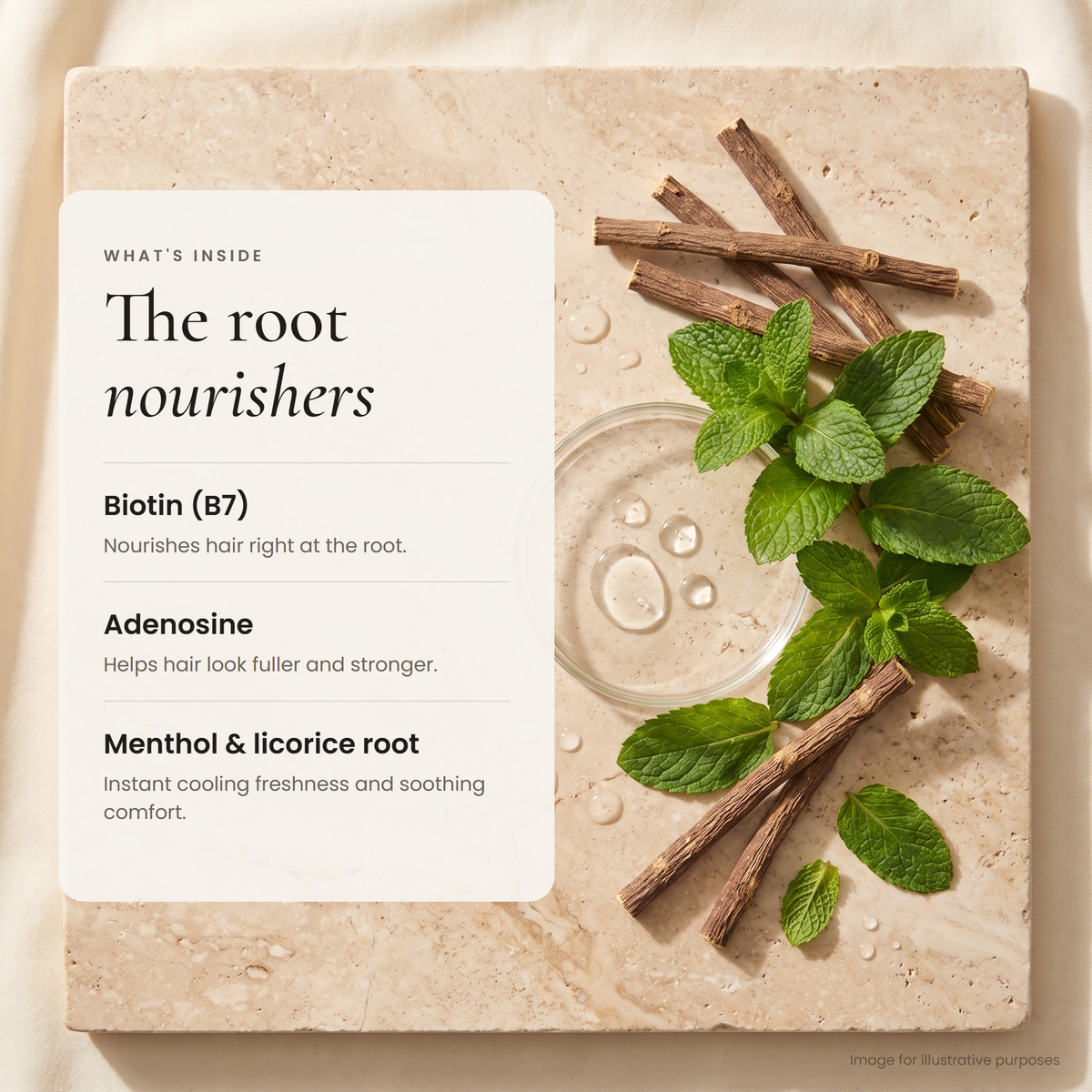 The root nourishers: biotin, adenosine, menthol and licorice root