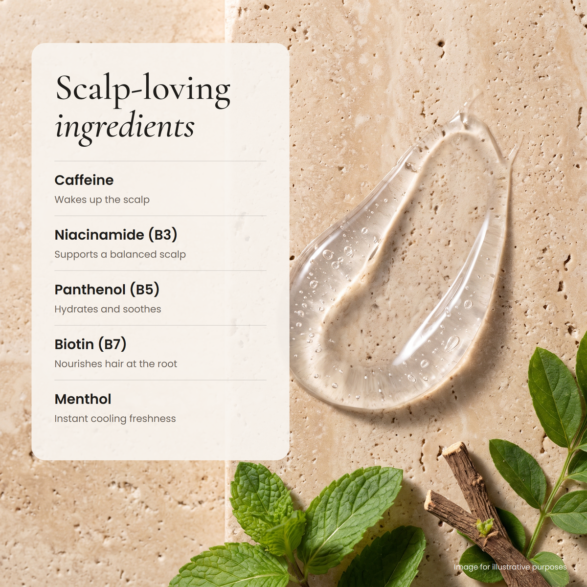 Scalp-loving ingredients: caffeine, niacinamide, panthenol, biotin and menthol