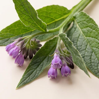 Allantoin